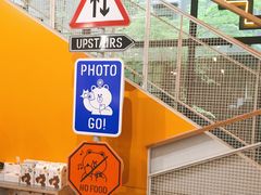 -line friends(明洞旗舰店)