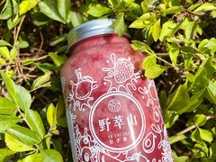 -野萃山·潮汕厚果汁(十亩地店)