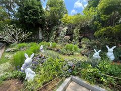 -深圳仙湖植物园
