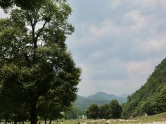 -关山草原