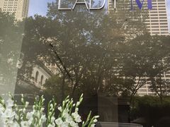 -Lady M Cake Boutique(麦迪逊大道店)