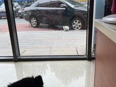 -艾贝尔宠物医院·24H转诊中心·肿瘤猫专科(江宁双龙店)