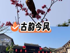 -磁器口古镇