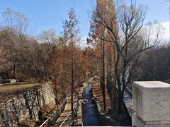 -白水寺森林公园