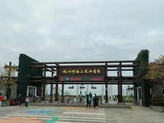 -杭州湾海上花田景区