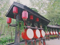 -合肥滨湖国家森林公园