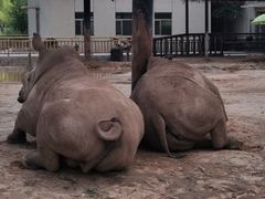 -鄂尔多斯野生动物园