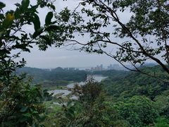 -黄山鲁森林公园