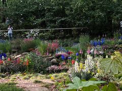 -上海共青森林公园