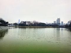 -古琴台