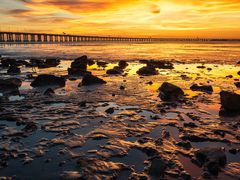 -宝安西湾红树林湿地公园