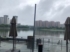 -映月湖中央公园