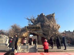 -大槐树寻根祭祖园