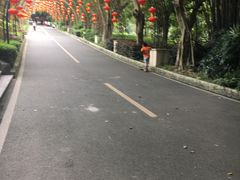 -大屏嶂森林公园