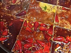 九宫格锅底-白乐天毛肚火锅馆(解放碑店)