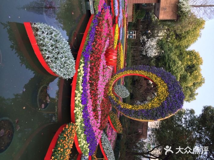 上海植物园上海植物园图片