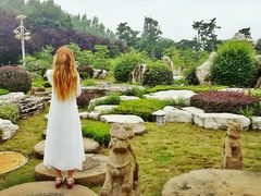 android_upload_pic-中国唐苑