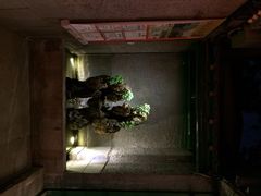 众宜轩老北京铜锅涮肉-众宜轩老北京铜锅涮肉·四合院(建国门店)