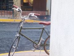 -村口大树(长乐路店)