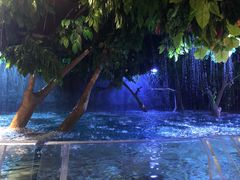 -成都浩海立方海洋公园