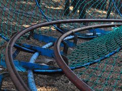 -原山国家森林公园