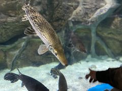 -多彩贵州城极地海洋世界