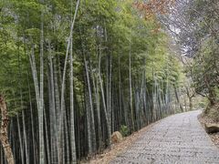 -采石矶景区