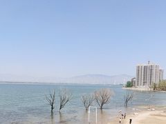 -观澜小洱海