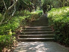 -燕晗山郊野公园