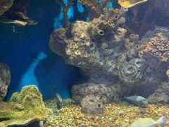 -福州罗源湾海洋世界旅游区