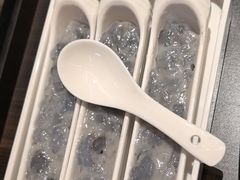-蝎王府羊蝎子(北大地店)