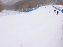 -亚布力新体委滑雪场
