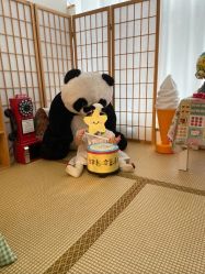 -可乐大王自然光儿童摄影(园区店)