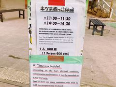 -宫城藏王狐狸村