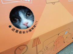 -宠颐生斯嘉宠物医院·急重症·心内科(谷阳北路分院)