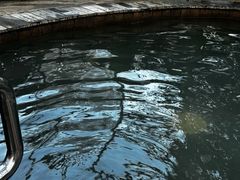 -瑞阁温泉酒店温泉中心