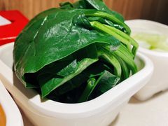 -海底捞火锅(万丰桥店)