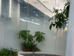 -大树餐厅(万达创始店)