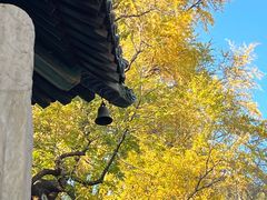 -潭柘寺景区