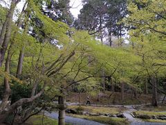 -醍醐寺