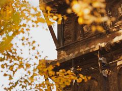 -北京石刻艺术博物馆(五塔寺)