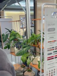 点击看大图 -AGAXI美甲美睫