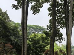 -东莞植物园