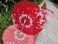 -广州市白云山风景名胜区