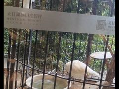-天目湖涵田度假村