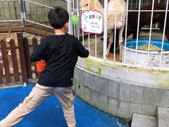 -上海崇明金茂凯悦酒店