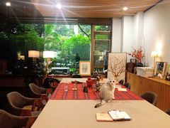 -咖法森林·咖啡  酒吧(天河店)