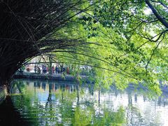 -棠湖公园