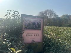 -中国茶叶博物馆(双峰馆区)