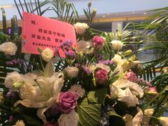 -苏宁影城
